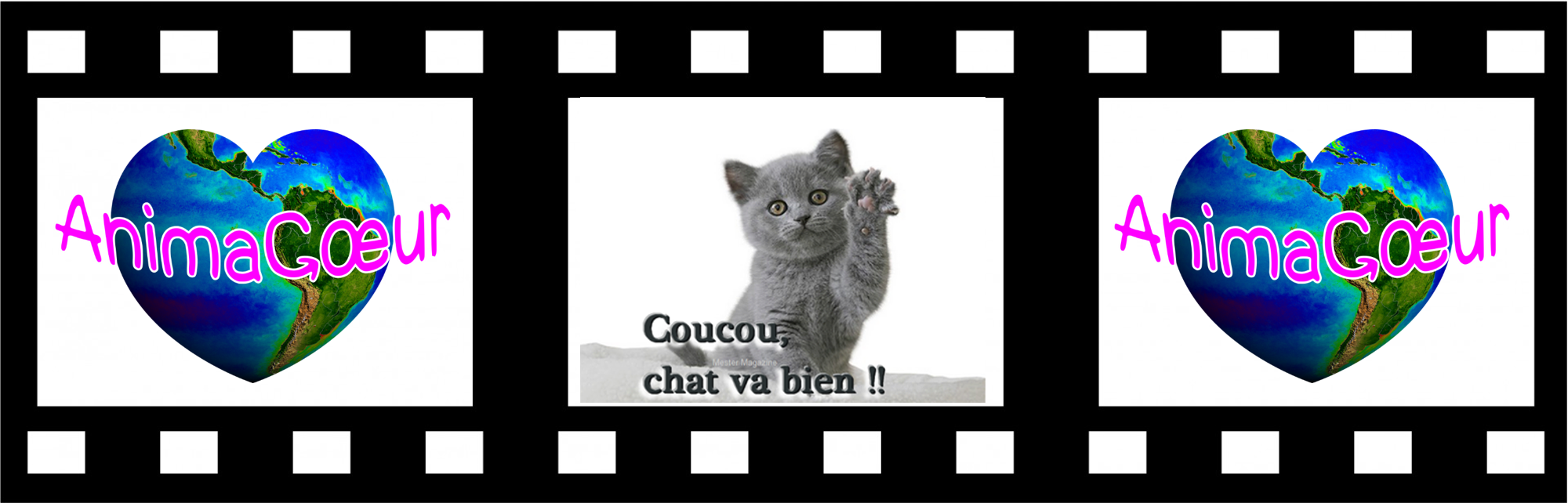 Coucou_Chat_va_bien